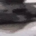 doc_20220726_0258161