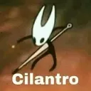 cilantro