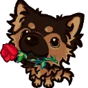 cc_D9_germanshepherdrose