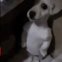 emoji_97 Discord Emoji from NV