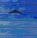 whale_freaky