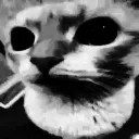 huhcatdespair