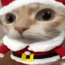 newyear_huhcat