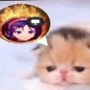 hihihasto
