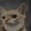 huhaicat