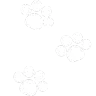 whitepaws