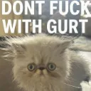 DfwGurt