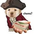 Hancock_doggo