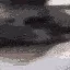 doc_20220726_0258161