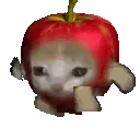 running_cat_apple