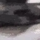 doc_20220726_0258161