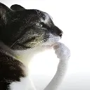 meme_thinkingveryhard