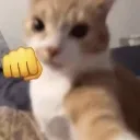 meme_PUNCHKITTY