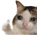 ok