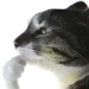 67 67