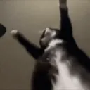 emote26