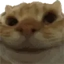 emote25