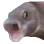 emote38