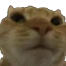 emote21