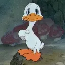 sadduck