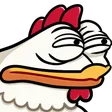 bawkSus