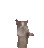 happycat happycat
