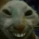 Heh
