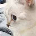 sideeye sideeye