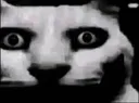 Stare
