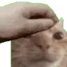 1182001055190491186