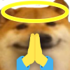 :shaan_hehpray: