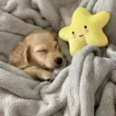 emoji_120