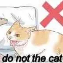 donotthecat