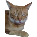 IMG_20250904_201422231removebgpr