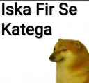 rnx_katega