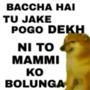 rnx_pogo_dekh
