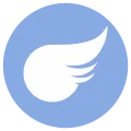 type_flying