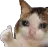 COF_Thik_Ache
