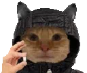CC_Cat_Drugs