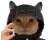 :CC_Cat_Drugs: CC_Cat_Drugs