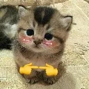 karma_plzz_manloo