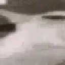doc_20220726_0258162