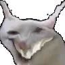 weshdistorted