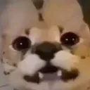 0_