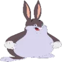 CHUNGUS CHUNGUS