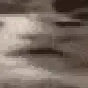 d2