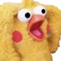 chicken_wtf2