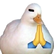 duckPray Discord emoji