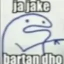 rnx_bartan_dho