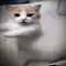 rnx_billi_dance